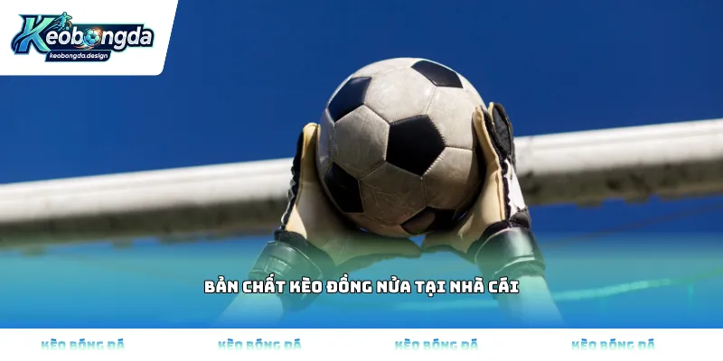 Bản chất kèo đồng nửa tại nhà cái