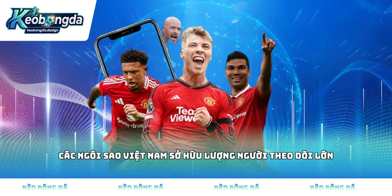 Các ngôi sao Việt Nam sở hữu lượng người theo dõi lớn