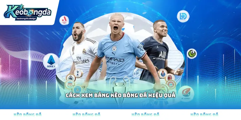 Cách xem bảng kèo bóng đá hiệu quả