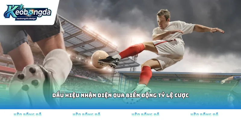 Dấu hiệu nhận diện qua biến động tỷ lệ cược