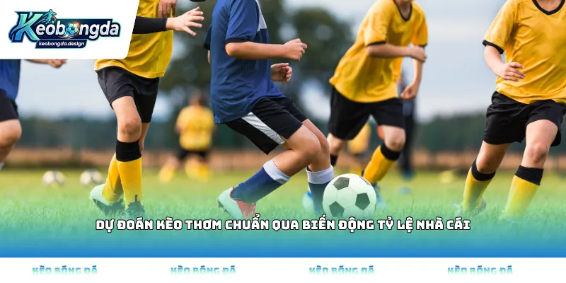 Dự đoán kèo thơm chuẩn qua biến động tỷ lệ nhà cái