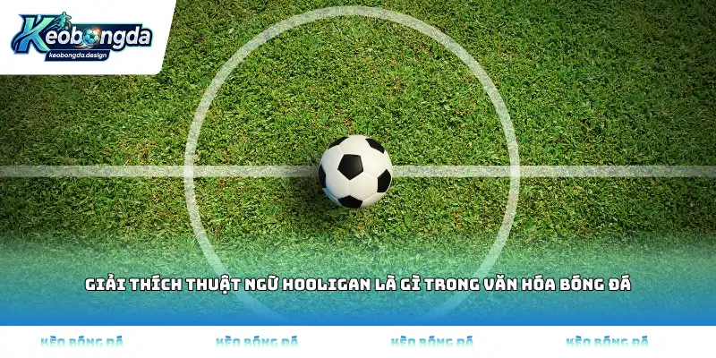 Giải thích thuật ngữ Hooligan là gì trong văn hóa bóng đá