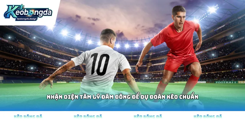 Nhận diện tâm lý đám đông để dự đoán kèo chuẩn