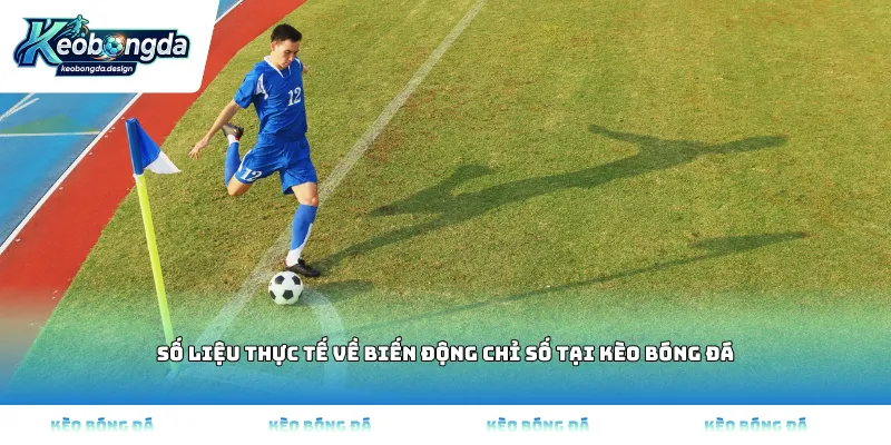 Số liệu thực tế về biến động chỉ số tại Kèo bóng đá