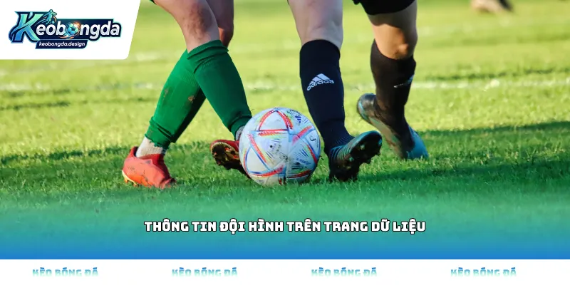 Thông tin đội hình trên trang dữ liệu