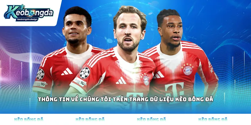 Thông tin Về chúng tôi trên trang dữ liệu Kèo bóng đá